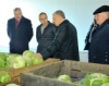 Новгород: 11 фермеров объединились в кооператив и построили овощехранилище